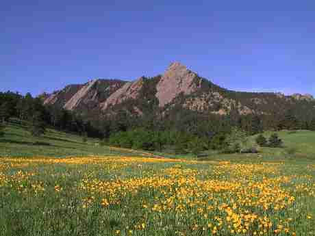 Flatirons with Poppies, Boulder
